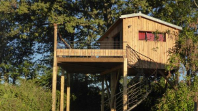 La cabane perchée du faucon